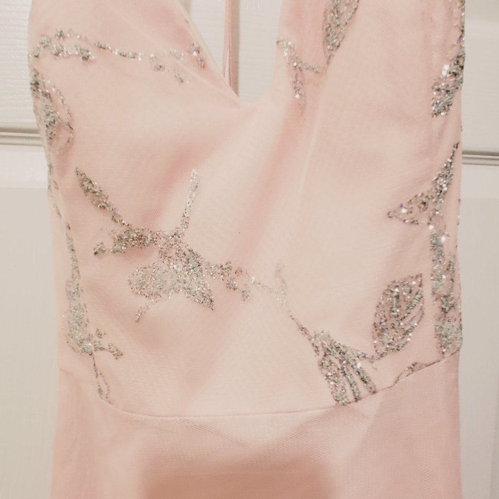 Hayley Paige prom or bridesmaid dress.